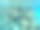 红海赫尔戈达清澈水域中的珊瑚和鱼类的水下照片图片下载