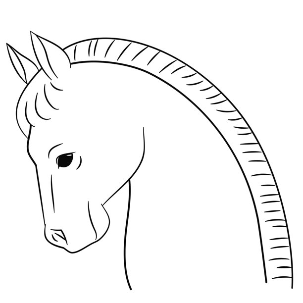 马年，新年图形素材，马的侧面线条插图图片下载