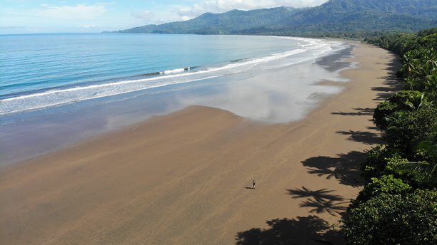 无人机航拍照片，展示一名男子在哥斯达黎加乌维塔海滩孤独行走。浅水中云彩的理想倒影与深绿色热带丛林相映成趣。冒险与独自背包旅行至中美洲。图片下载