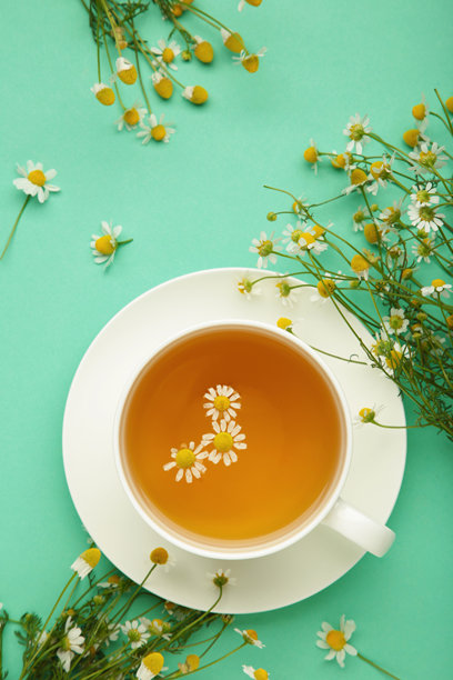 白色杯子里的香草茶和薄荷背景上的洋甘菊。竖版照片图片下载