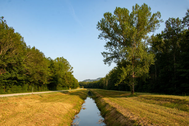 一条穿过山谷的笔直河流，周围环绕着树木。风景照片图片下载