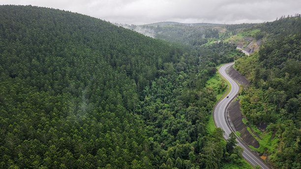 穿过森林的蜿蜒公路的航拍照片图片下载
