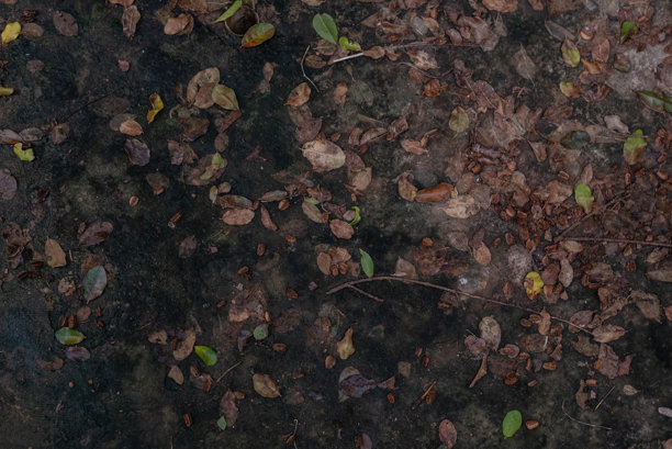 地面纹理图案的照片图片下载