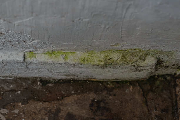 地面纹理图案的照片图片下载