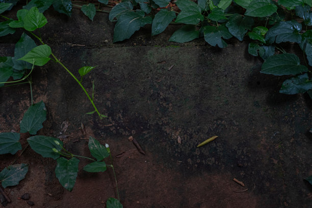 地面纹理图案的照片图片下载