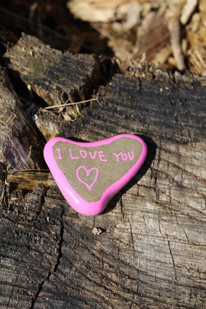 我爱你心形情人节石头放在森林中的树桩上，竖版照片图片下载