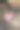 我爱你心形情人节石头放在森林中的树桩上，竖版照片图片下载