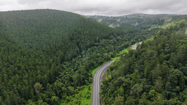穿过森林的蜿蜒公路的航拍照片图片下载