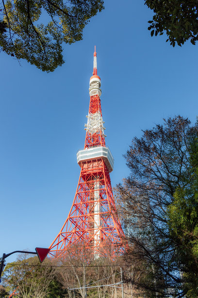 树木成荫的道路通向标志性的红色东京塔。照片拍摄于晴朗的阳光明媚的日子。图片下载