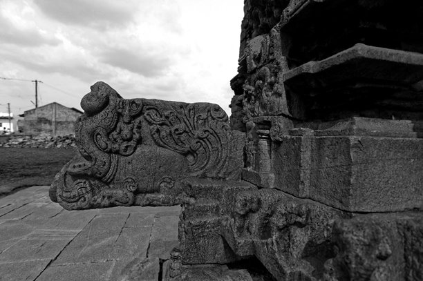 黑白照片展示了雕刻的Vyali设计，这是一种在许多南印度寺庙中可以看到的神话生物。图片下载