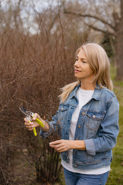 女性园丁在户外修剪灌木，使用手动剪刀。竖版照片图片下载