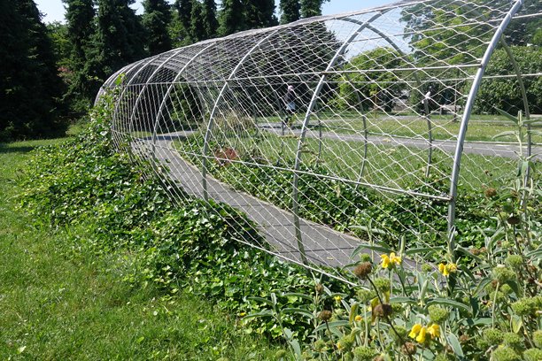 儿童游乐自行车道上的铁丝网隧道  户外拍摄的照片图片下载