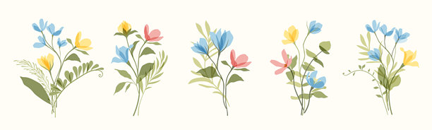 植物花束矢量图集。扁平透明的彩色花朵、野花和野草。手绘花卉插图。图片下载
