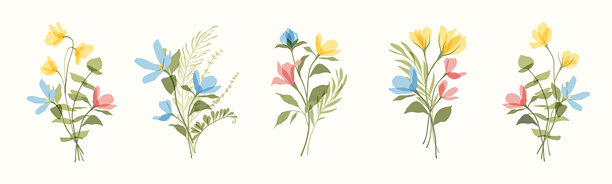 植物花束矢量图集。扁平透明的彩色花朵、野花和野草。手绘花卉插图。图片下载