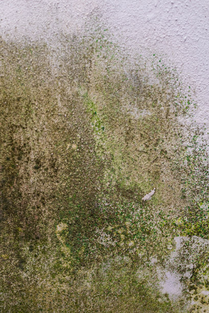 墙面纹理图案的照片图片下载