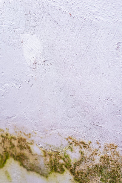 墙面纹理图案的照片图片下载