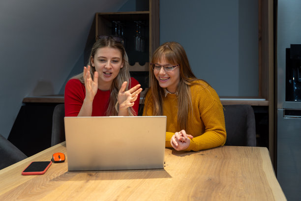 两位职业女性在酒庄办公室合作制定营销策略，专注于笔记本电脑屏幕，周围充满积极的能量、品牌创意和葡萄园视觉。图片下载