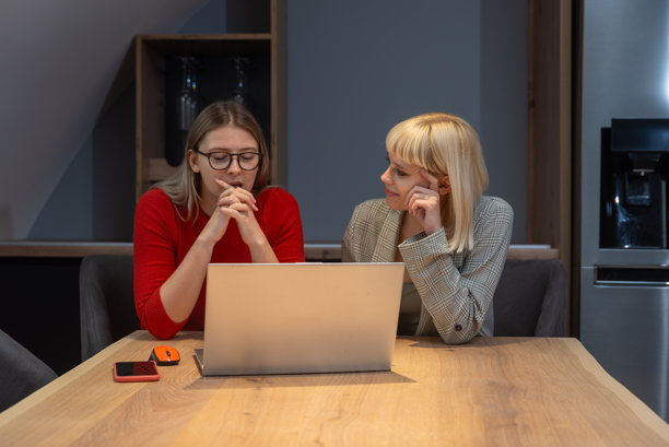 两位职业女性在酒庄办公室合作制定营销策略，专注于笔记本电脑屏幕，周围充满积极的能量、品牌创意和葡萄园视觉。图片下载