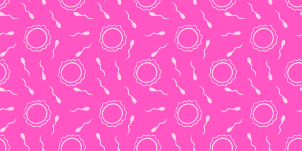 抽象极简的人类受精模式 医学生物学演示 概念设计 健康 新生命插图 精子卵子细胞图片下载