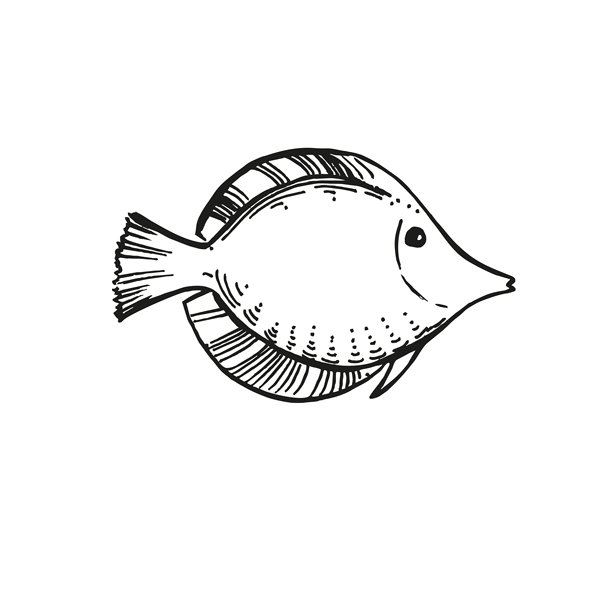 手绘矢量水下鱼类，黑白墨水剪影的热带异域鱼，海洋生物的素描，雕刻纹理的海底动物插图，用于海洋图片装饰图片下载