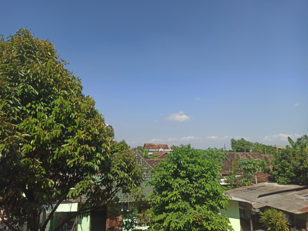 这张照片捕捉了在晴朗蓝天下的宁静社区景象，展现了郁郁葱葱的绿树和朴素的住宅。图片下载