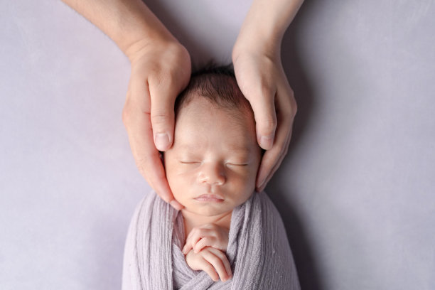 一张专业的两周大日本婴儿照片，婴儿被柔软的包巾包裹，安静地睡在浅紫色背景上。婴儿被父母的双手温柔地抱着。图片下载