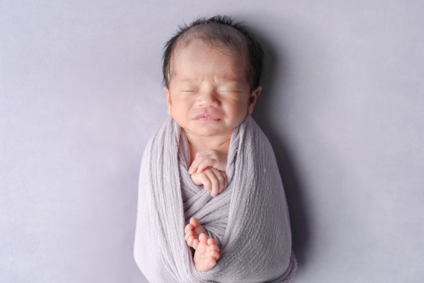 一张专业的两周大日本婴儿照片，婴儿安静地睡着，裹在柔软的襁褓中，背景是柔和的薰衣草色。柔和的色调和温柔的姿势营造出梦幻而宁静的氛围。图片下载