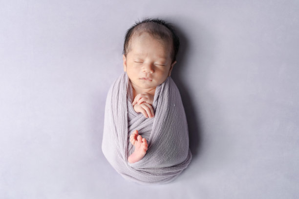 一张专业的两周大日本婴儿照片，婴儿安静地睡着，裹在柔软的襁褓中，背景是柔和的薰衣草色。柔和的色调和温柔的姿势营造出梦幻而宁静的氛围。图片下载