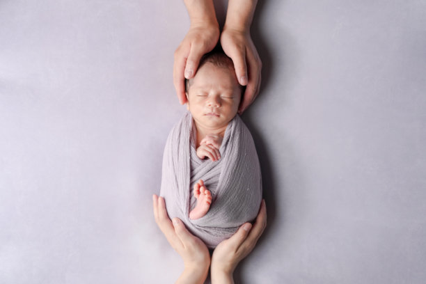 一张专业的照片，展示了一名两周大的日本婴儿被柔软的包裹布包裹着，安静地睡在浅紫色背景上。父母的双手温柔地一起抱着婴儿，充满爱意。图片下载