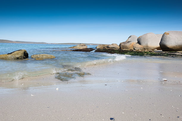 南非帕特诺斯特海岸的西开普海滩，低潮时大岩石散落其间。宠物友好的海滩，白色沙滩。家庭度假的宁静之地，留下许多美好回忆。照片拍摄于2024年11月1日。图片下载