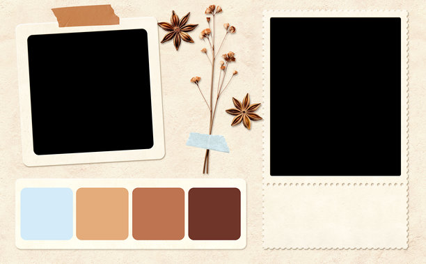 怀旧背景，适合剪贴簿的情绪板图片。横向背景，配有复古相框、干燥压制的花朵、八角茴香和色卡条。复古风格的情绪板布局。图片下载