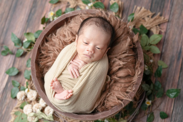 一张专业的婴儿照片，拍摄的是一名两周大的宝宝，裹在米色的襁褓中，躺在一个棕色毛绒篮子里，放在木质甲板上，周围环绕着郁郁葱葱的绿植，眼睛睁开，表情各异。图片下载