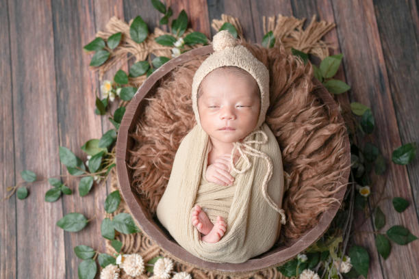 专业的新生儿照片，拍摄的是一名两周大的婴儿，裹在米色的襁褓中，安静地躺在一个棕色毛皮衬里的篮子里，周围是绿色植物，背景是木质甲板。头戴毛球帽，增添了可爱感。图片下载