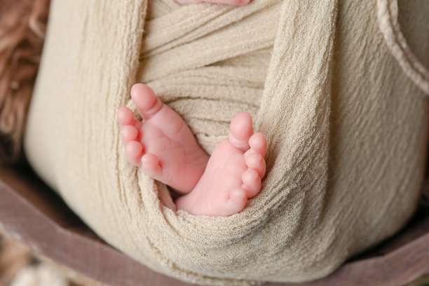 专业的新生儿照片，拍摄了一名两周大的婴儿，裹在米色的襁褓中，安静地躺在一个棕色毛皮篮子里，周围环绕着绿色植物。包括了小手和小脚的特写镜头。图片下载