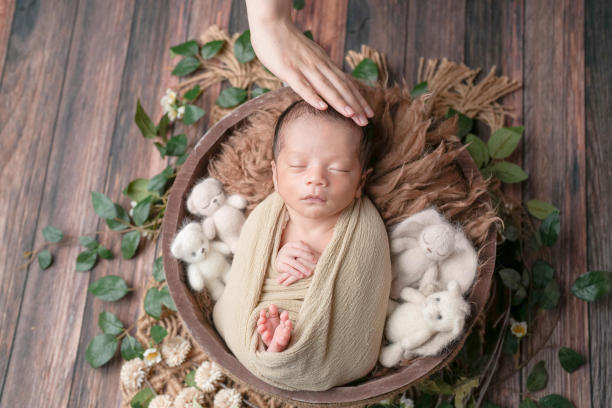 两周大的新生儿照片，裹着米色的襁褓，安静地睡在一个毛绒篮子里，周围是绿色植物，放在木质甲板上。身边有动物毛绒玩具。妈妈的手轻轻抚摸着他的头。图片下载