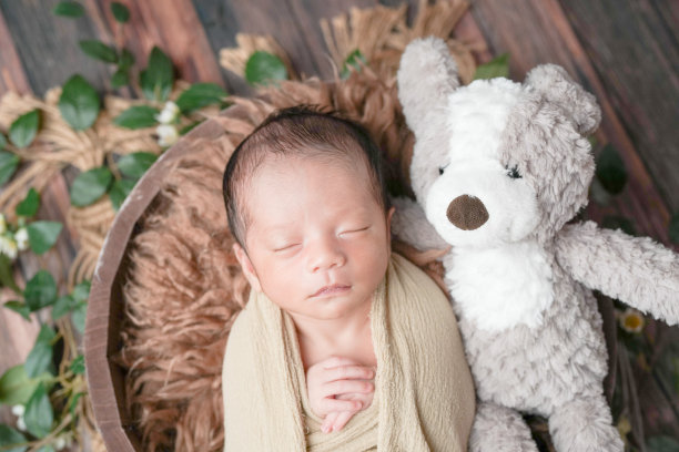 两周大的新生儿照片，裹在米色的襁褓中，安静地躺在棕色毛绒篮子里，周围是绿色植物，木质甲板上。旁边有一只狗狗毛绒玩具。专业的新生儿摄影。图片下载