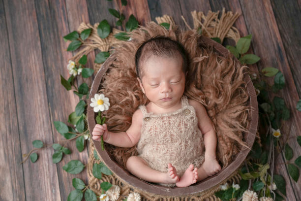 两周大的新生儿照片，穿着米色针织连体衣，安静地躺在棕色毛绒篮子里，周围是绿色植物，背景为木质甲板。手中握着一朵假洋甘菊花。专业摄影作品。图片下载