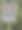 纽约公共公园和水源水库附近的无人机禁飞区标志（照片摄影飞行四旋翼）禁止飞行 安全保障图片下载