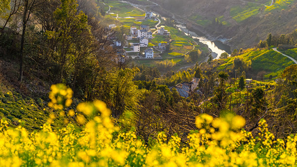 油菜花田，徽州风格建筑，中国安徽省，亚洲。图片下载
