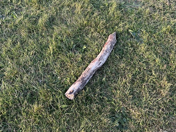 大木棍躺在草地上，照片从上方拍摄。图片下载