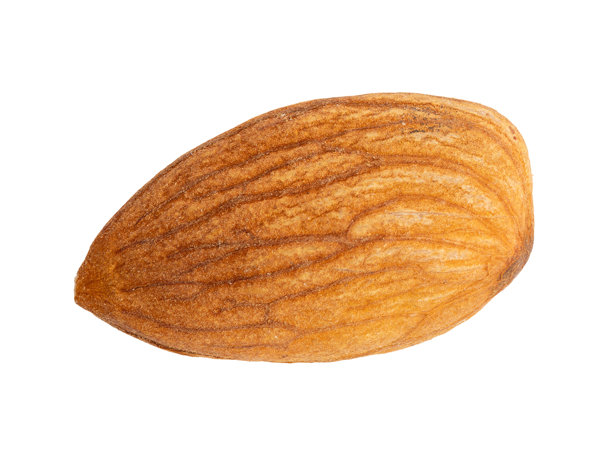 高分辨率的杏仁照片，采用焦点堆叠技术拍摄。图片下载