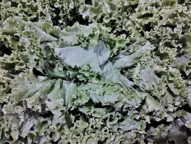 绿色蔬菜的特写纹理照片图片下载