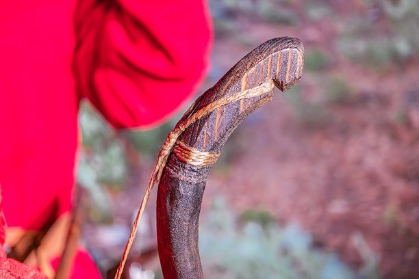一个人手持一条扁平的棕黄色蛇皮，自然户外背景中有树木或灌木，可能与标本制作、爬虫学或涉及动物皮毛的艺术相关的抓拍照片风格。图片下载