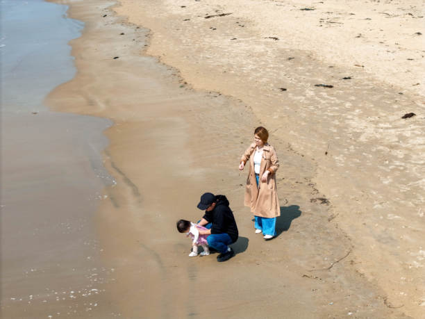 福冈海滩的航拍照片，面向日本海，展示了一家日本家庭，包含一个6个月大的婴儿，一个1岁大的婴儿，一个3岁的小女孩，以及30多岁的父母。家庭摄影。图片下载