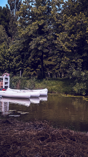 宁静公园里河边停靠的白色船只的竖版照片图片下载