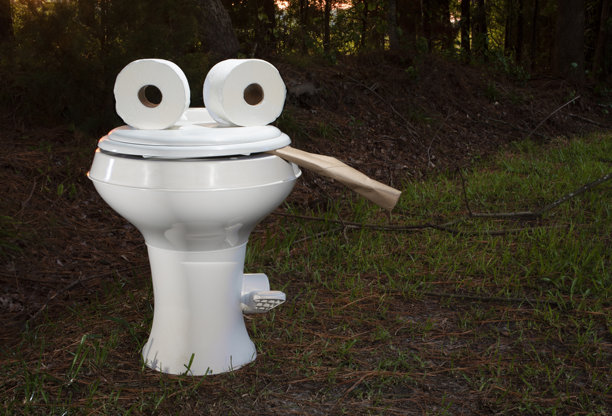 森林中露营拖车里的塑料厕所搞笑照片图片下载