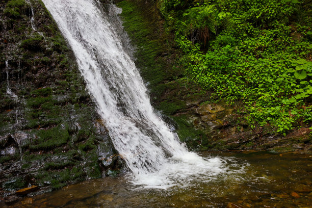 这张照片展示了一条山间瀑布从苔藓覆盖的岩石上倾泻而下，周围环绕着郁郁葱葱的植被。图像传达了自然的清新与活力，突显了水的力量与森林景观的和谐。图片下载