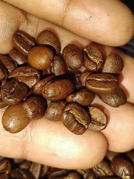 精选焦点的咖啡豆图片图片下载