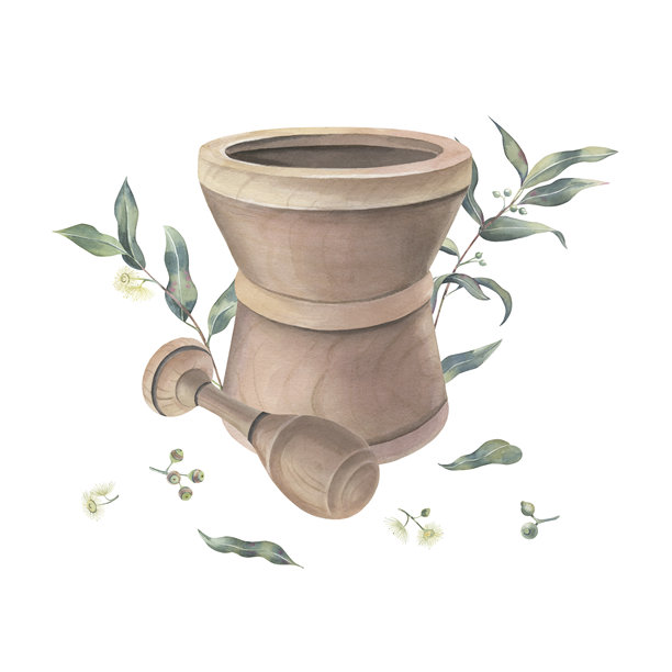 桉树枝叶、木质研钵和杵、嫩芽、花朵，水彩画，背景为白色。用于香薰标签的手绘精油制作工具和药用草药插图。图片下载