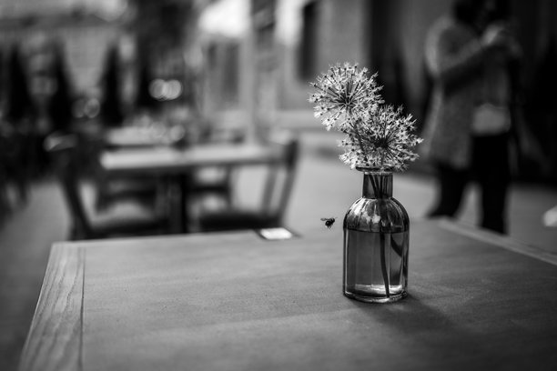 这张照片捕捉了花瓶中花朵的单色之美图片下载